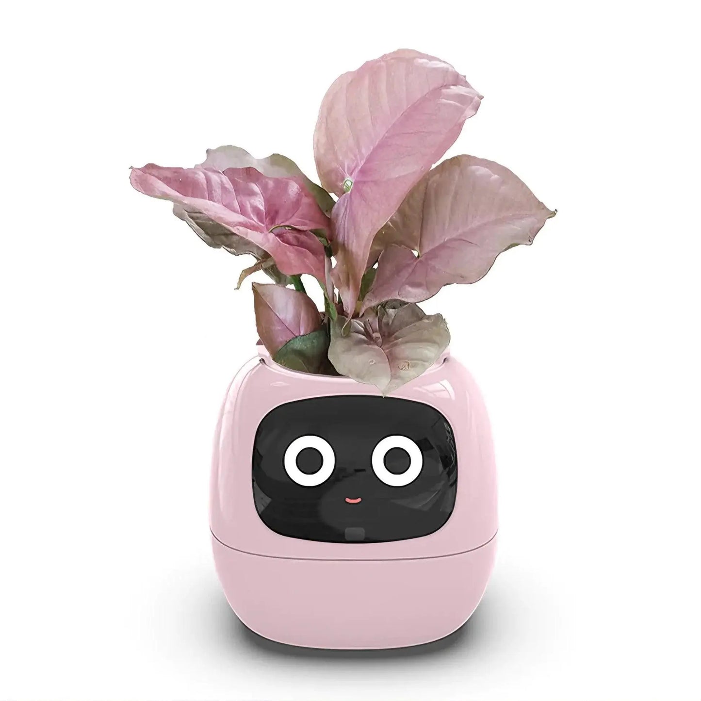 Mndstore™ Smart Flower Pot MNDStore