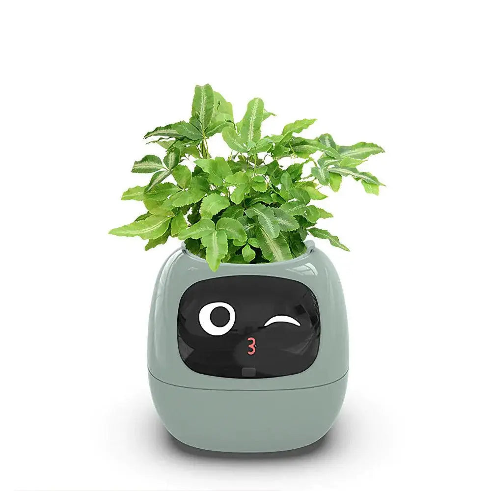 Mndstore™ Smart Flower Pot MNDStore
