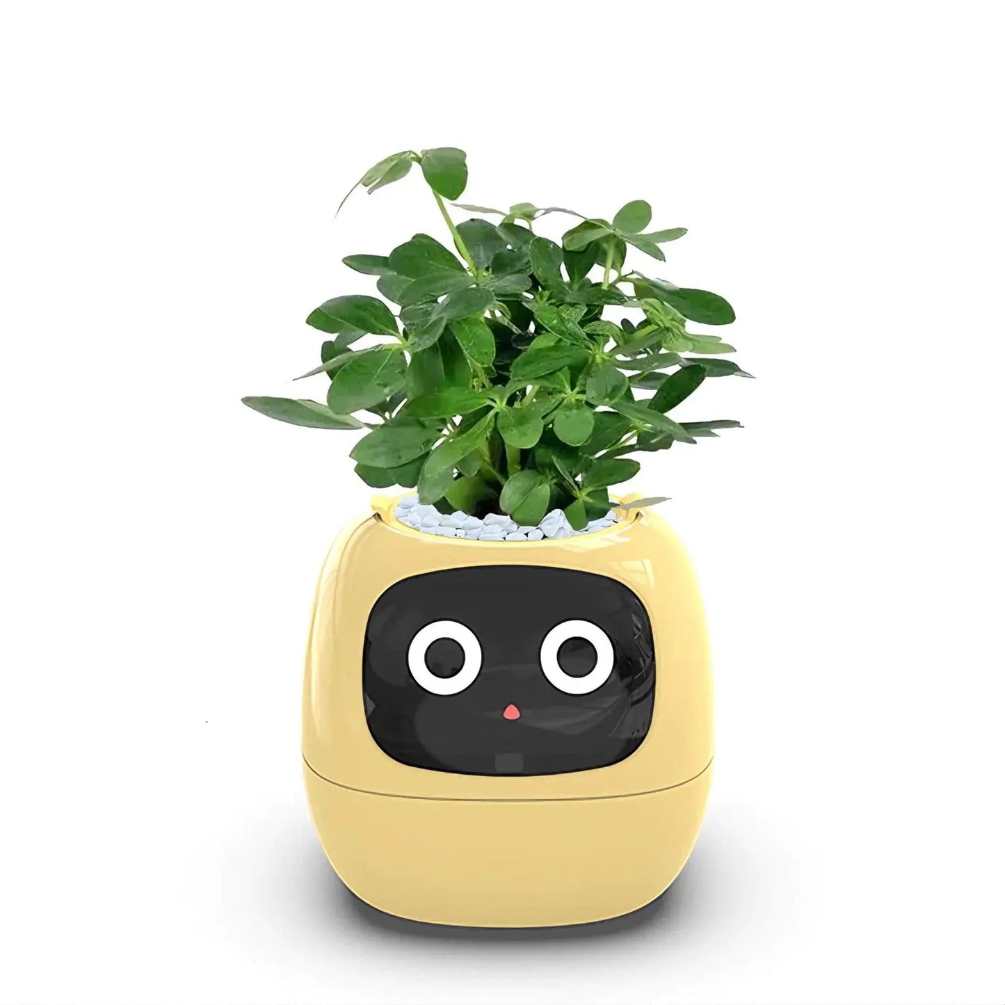 Mndstore™ Smart Flower Pot MNDStore