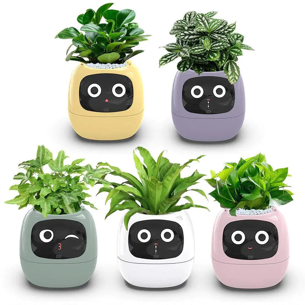 Mndstore™ Smart Flower Pot MNDStore