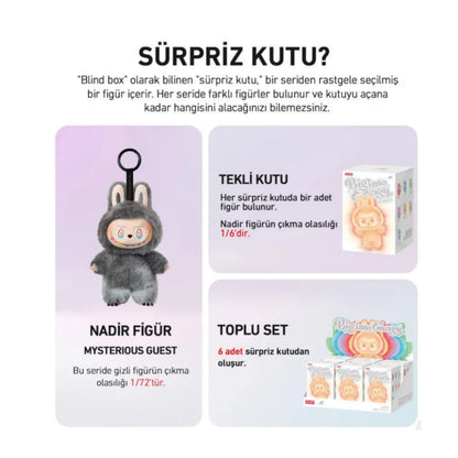 Pop Mart Labubu Biginto Energy.