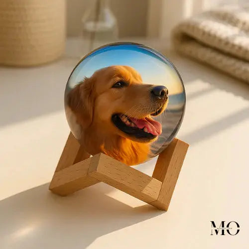 Dijital Video Küre MNDStore
