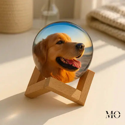 Dijital Video Küre MNDStore