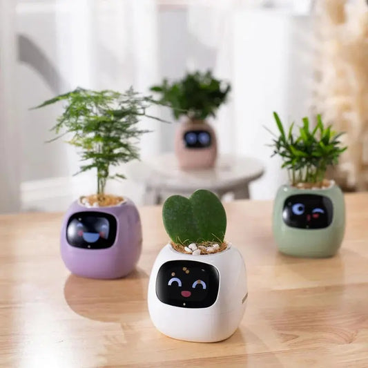 Mndstore™ Smart Flower Pot MNDStore