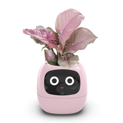 Mndstore™ Smart Flower Pot MNDStore